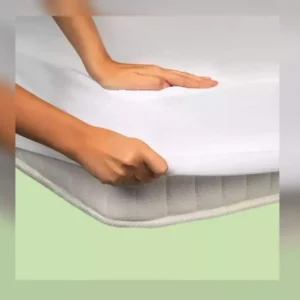 Mattress Encasement